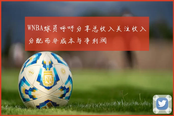 WNBA球员呼吁分享总收入关注收入分配而非成本与净利润